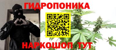 винт Партизанск