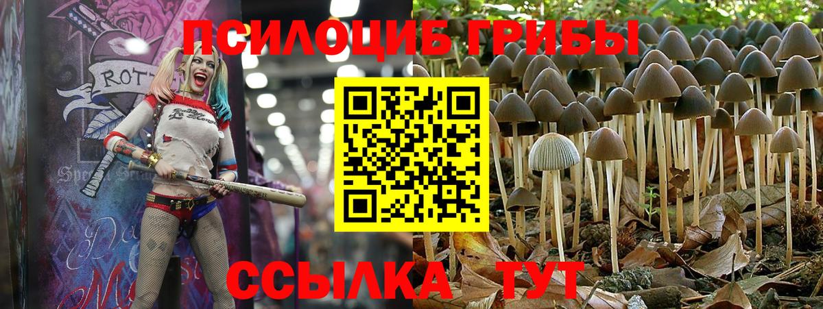 Реутов  Галлюциногенные грибы GOLDEN TEACHER  Вход с VPN  Галлюциногенные грибы Psilocybe 