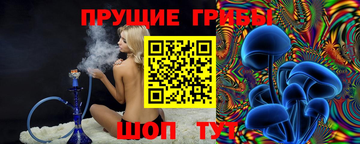 Псилоцибиновые грибы Psilocybine cubensis Реутов